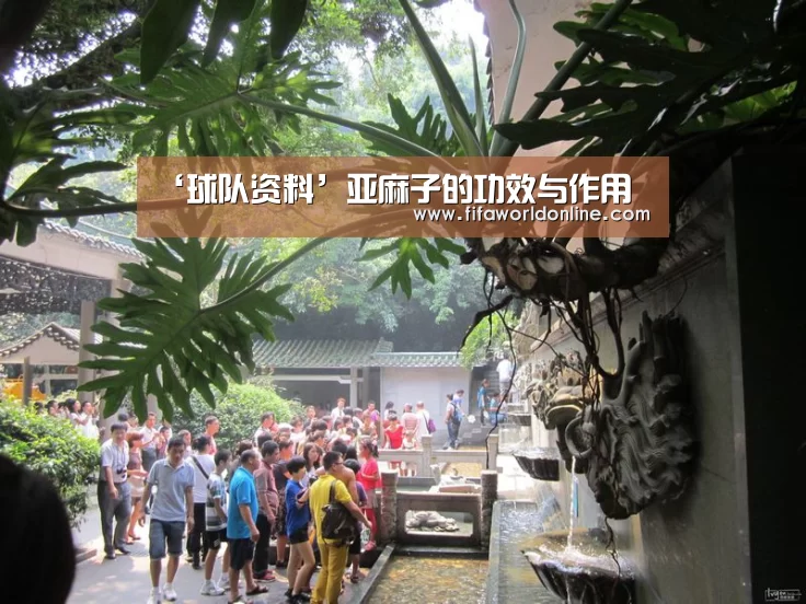 ‘球队资料’亚麻子的功效与作用(图1) 世界杯资讯