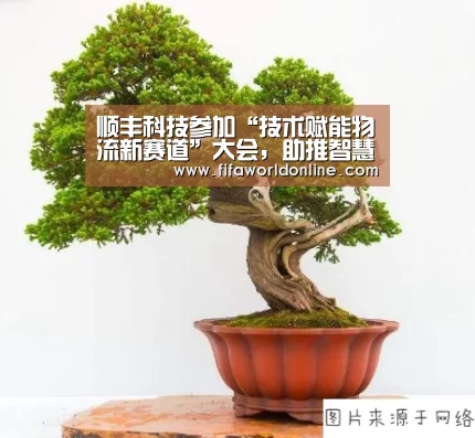 顺丰科技参加“技术赋能物流新赛道”大会,助推智慧物流新进展......‘新闻快讯’(图1) 世界杯资讯
