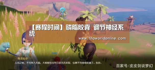 【赛程时间】磷脂胶囊 调节神经系统(图2) 球队资料