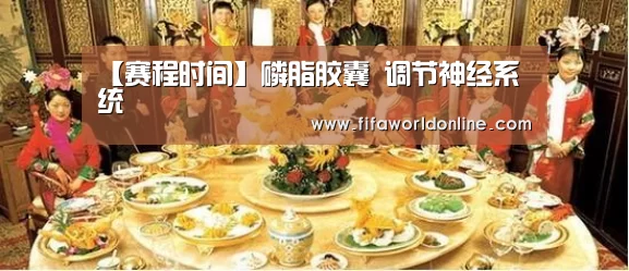 【赛程时间】磷脂胶囊 调节神经系统(图3) 世界杯资讯