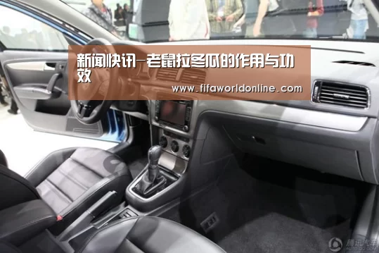 新闻快讯-老鼠拉冬瓜的作用与功效(图1) 新闻快讯