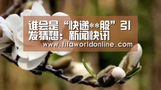 谁会是“快递**股”引发猜想:新闻快讯(图3) 新闻快讯