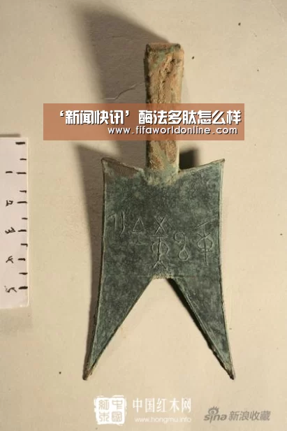 新闻快讯