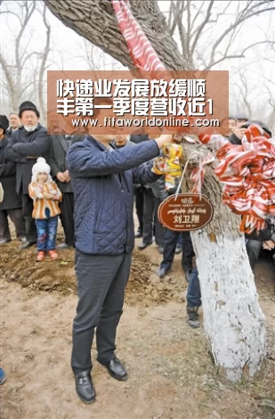 快递业发展放缓顺丰第一季度营收近155亿“赛程时间”(图1) 世界杯资讯