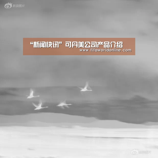 “新闻快讯”可丹美公司产品介绍(图2) 赛程时间