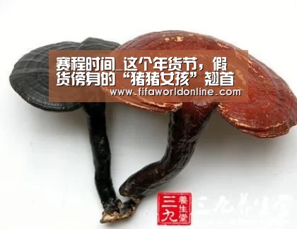 赛程时间_这个年货节,假货傍身的“猪猪女孩”翘首等待精致的春天(图1) 新闻快讯