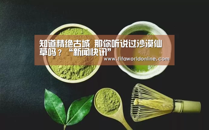 世界杯资讯