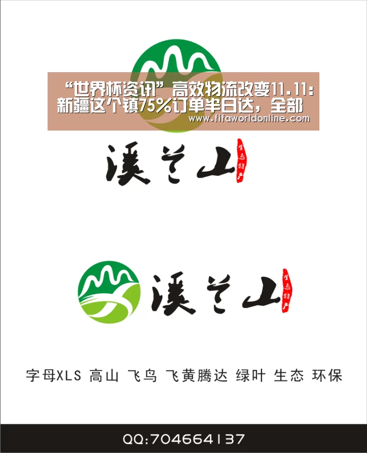 球队资料